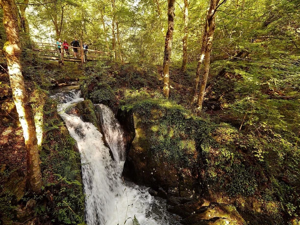 Wilde Endert Wasserfall