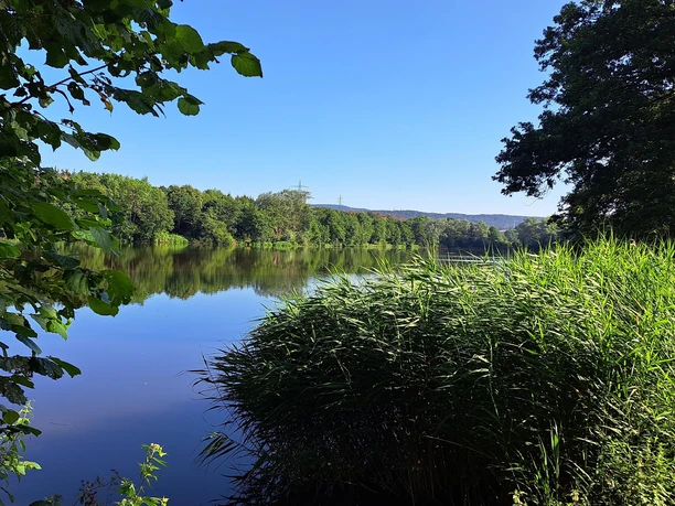 Idyll am Sterenbachsee