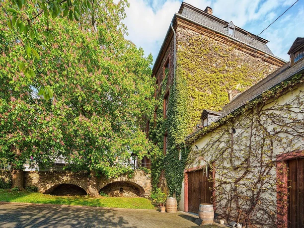 Weingut