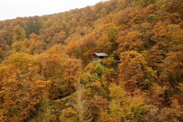 Rulandhütte