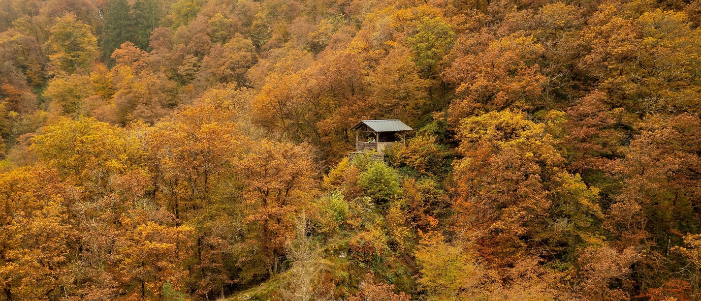 Rulandhütte