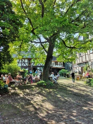 Sommerveranstaltungen auf Inges Hof
