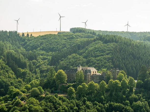Blick auf Burg Neuerburg
