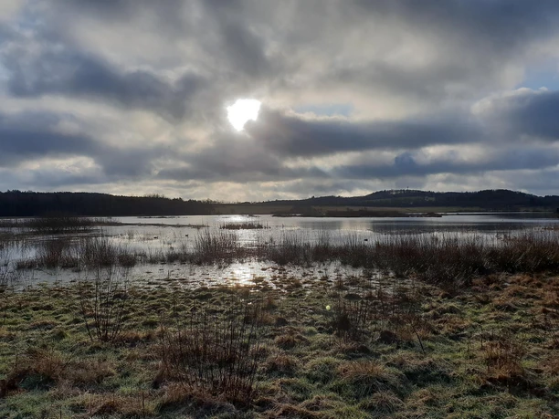 Jungfernweiher Ulmen