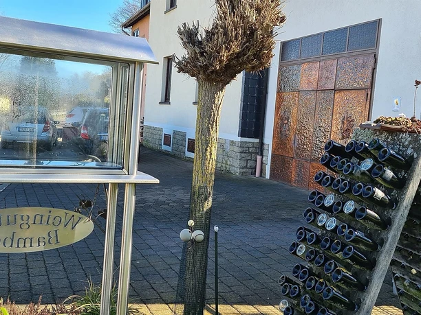 Weingut Bamberg Oberbillig (1)