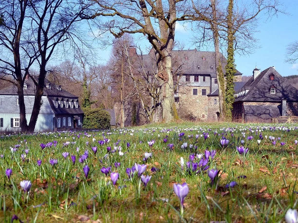 Schloss Schönstein im Frühling