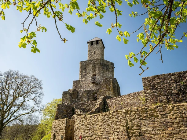 Burg Grimburg