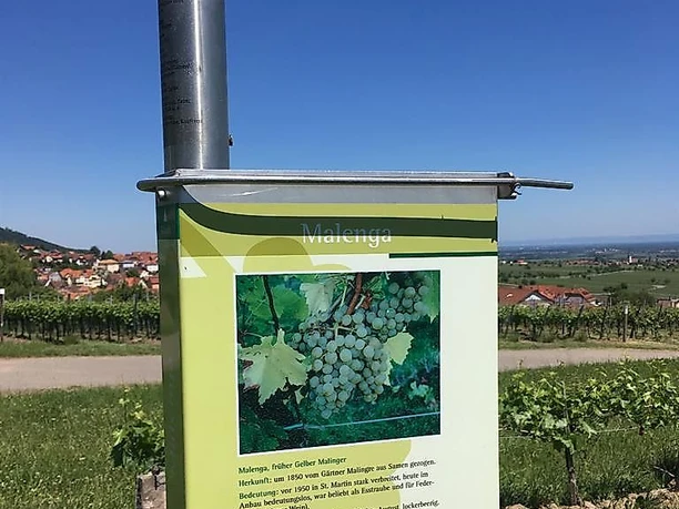 Wein- und Steinlehrpfad Wein- und Steinlehrpfad