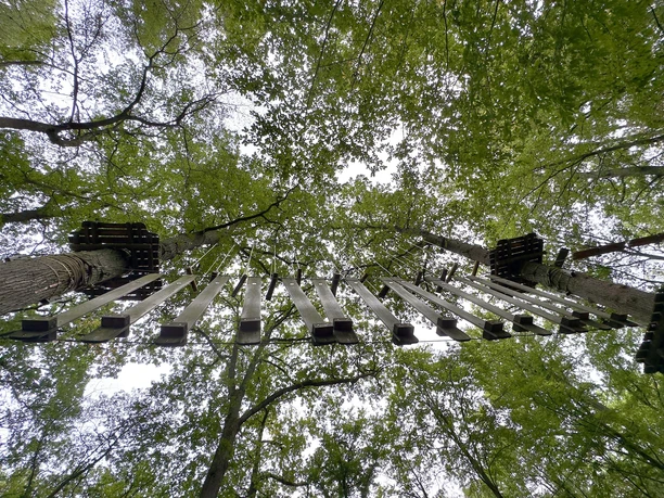 Kletterwald in Marburg