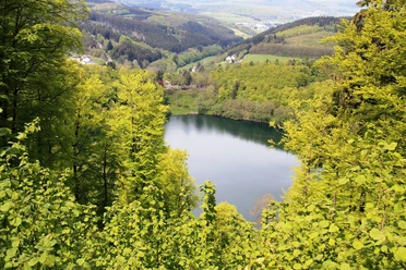 Gemündener Maar mit Bergen