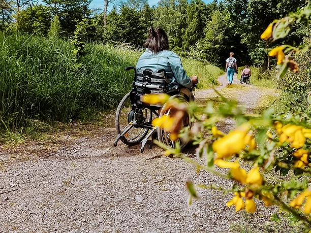 Wanderweg zum Kirschfelsen