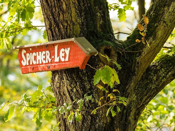 Spicher Ley
