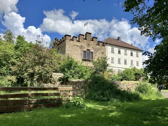 Wasserburg mit Edelhaus Treis