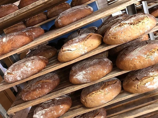 Brot frisch aus dem Ofen