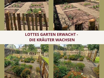 Lottes Garten erwacht...