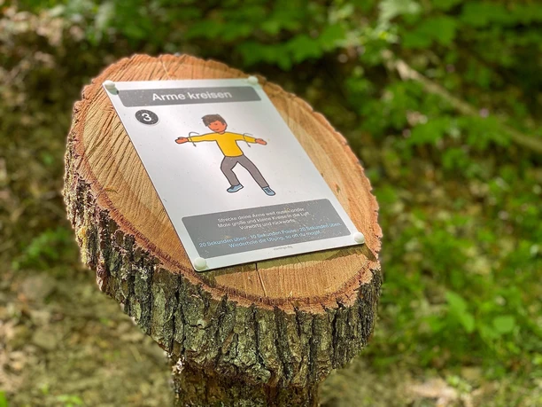 Dillenburger Fitness-Wald 2