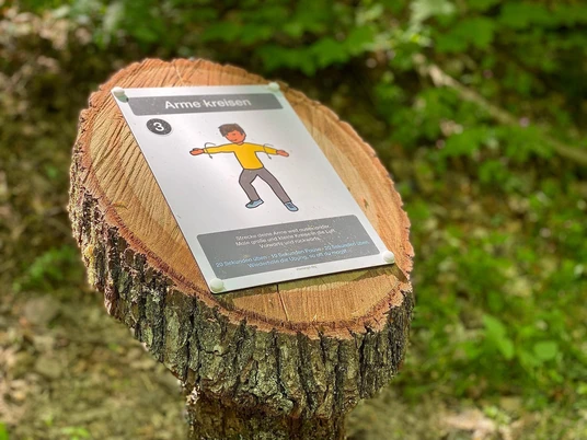 Dillenburger Fitness-Wald 2