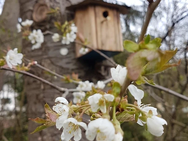 Impressionen Dorfrundgang