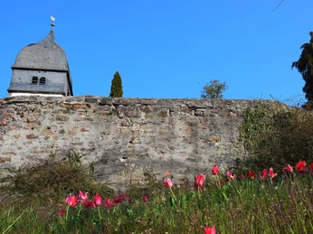 Mauer und Kirchenturm Niederwalgern