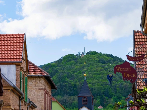 Blick auf die Kalmit