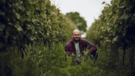 Philipp Müller im Weinberg