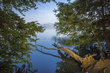 Laacher See