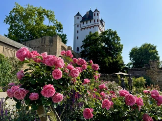 Kurfüstliche Burg Rosen