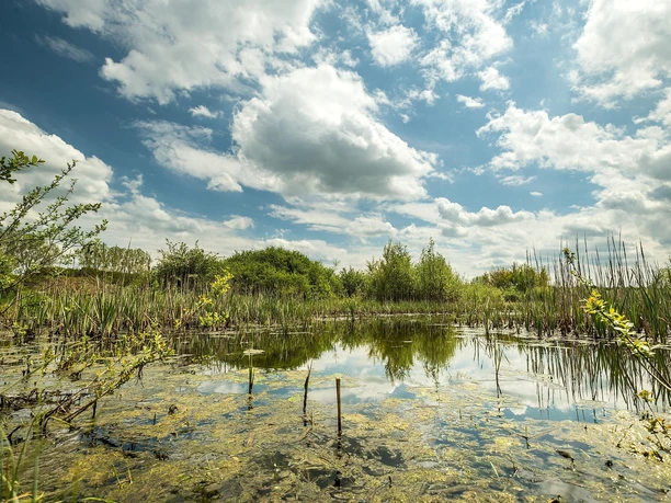 Blick auf den Sangweiher