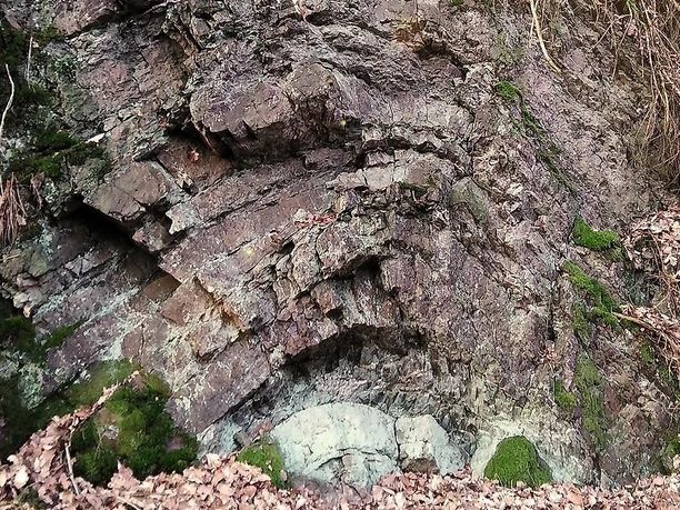 Felsfaltung bei Hövels