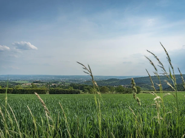 Blick von Rengsdorf