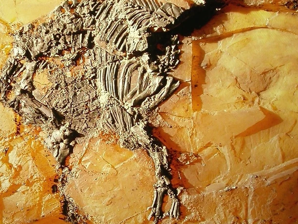 Urpferdchen