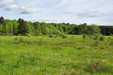 Naturschutzgebiet-Im Geraum Nähe Kausen