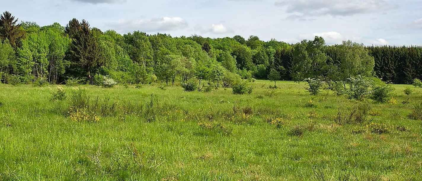 Naturschutzgebiet-Im Geraum Nähe Kausen
