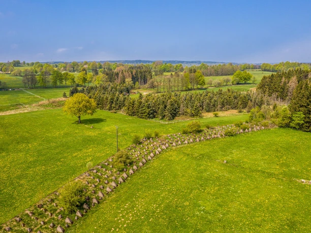 Westwall - Höckerlinie (Monschauer Land)