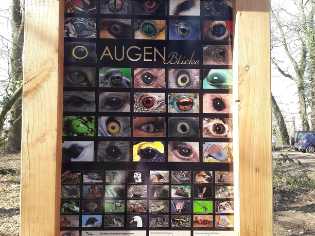 Quiz am Vogellehrpfad