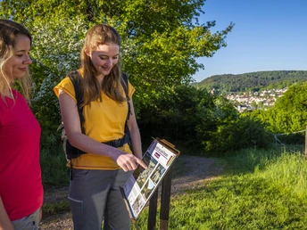 Blick auf Trassem (04)