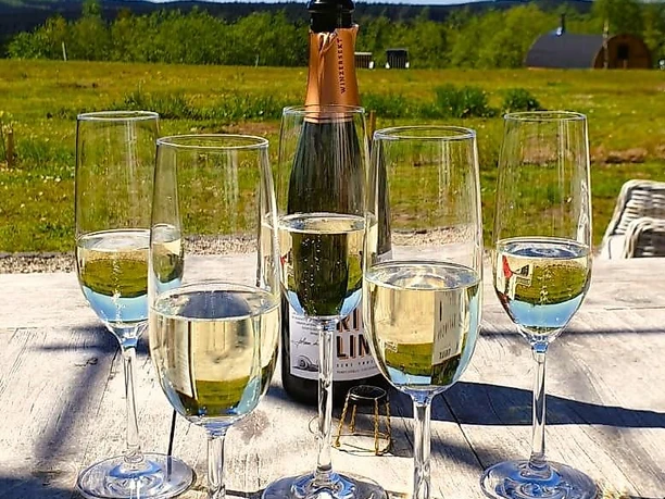 Sekt