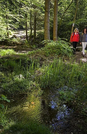 Auf der Traumschleife Der Bergener