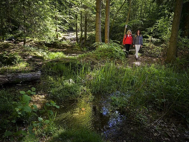 Auf der Traumschleife Der Bergener