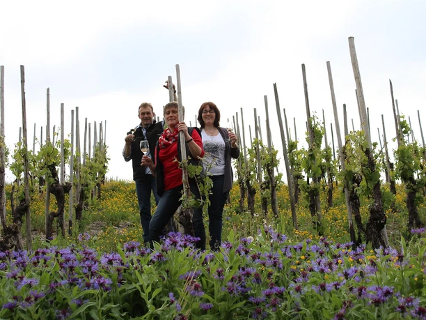 Weingut Rausch Konz-Obermennig (3)