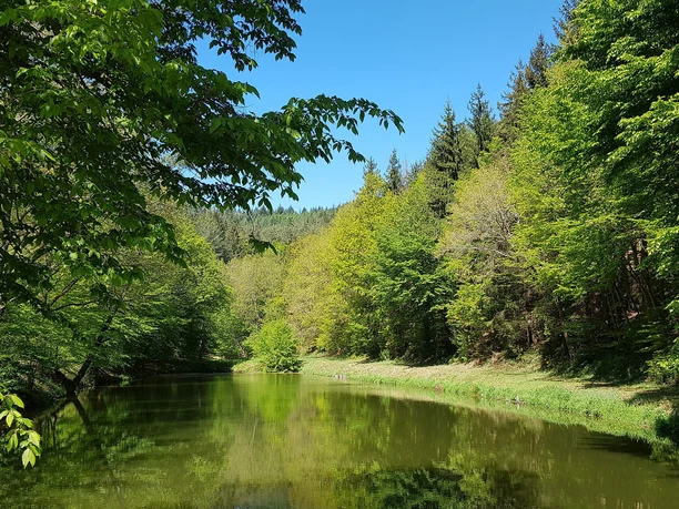 Karlswoog am Beginn des Schamborner Tals