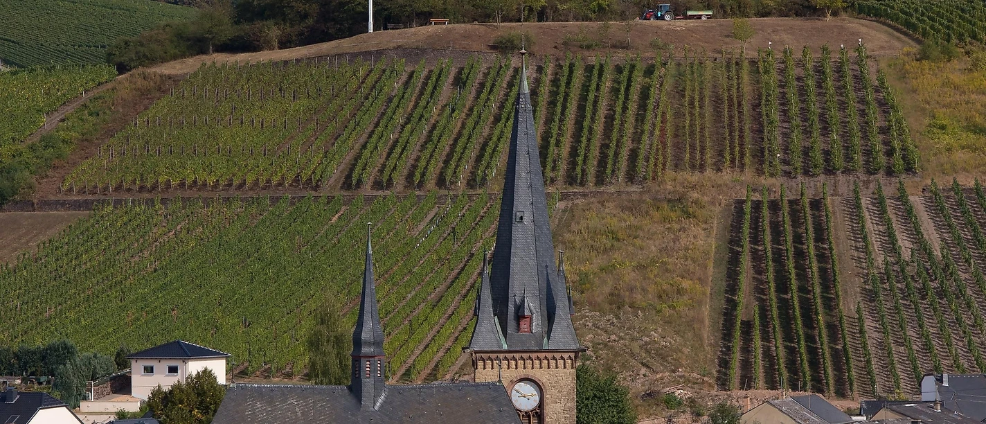 Saardom Wiltingen