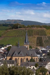 Saardom Wiltingen
