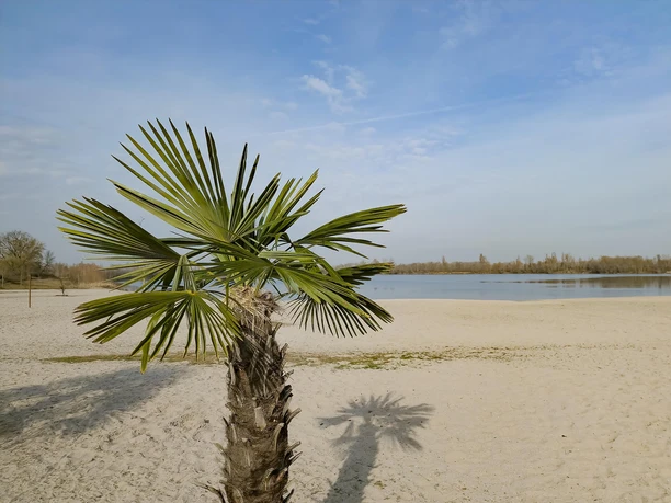 Strand Altrheinsee Eich