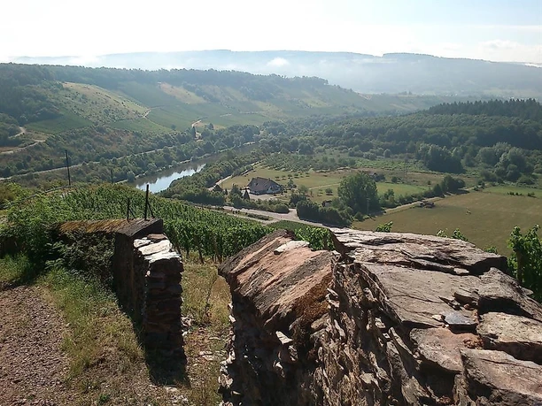 Wawerner Jesuitenberg (3)