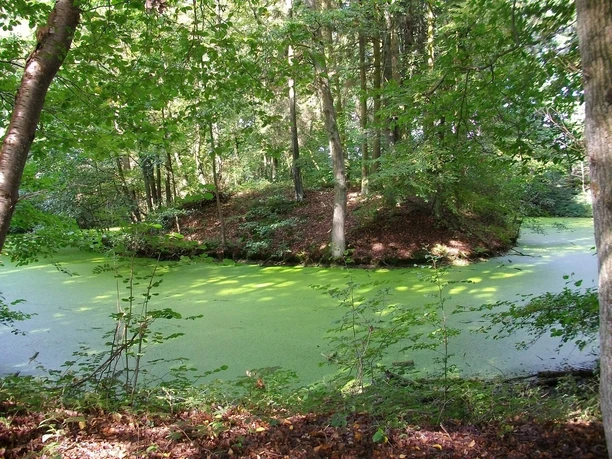 Hügel der Motte Broichhausen