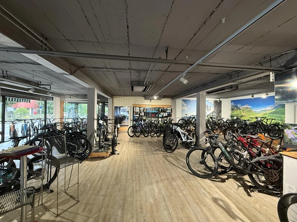 Aussstellungsbereich