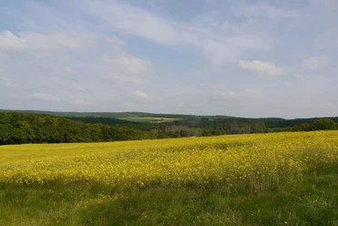 Blick in die Ferne