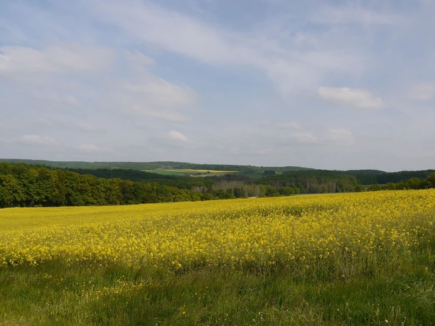 Blick in die Ferne
