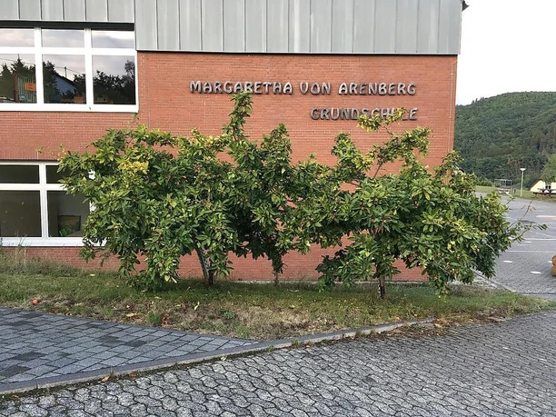 Margaretha von Aremberg Grundschule